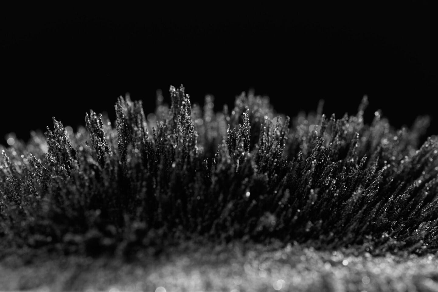 Die Macht der Anziehung — 2